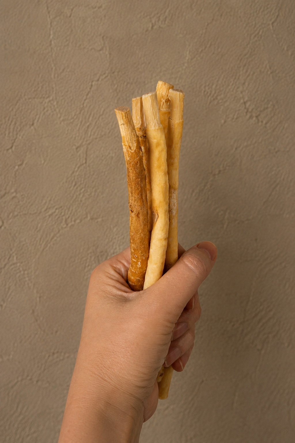 Organic Miswak Twig: Sustainably Sourced from the Arak Tree